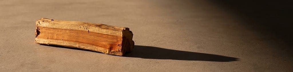 The Debt and the Tree